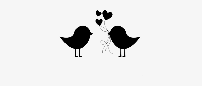 Cor Do Fundo - Passarinho Preto E Branco Png, transparent png