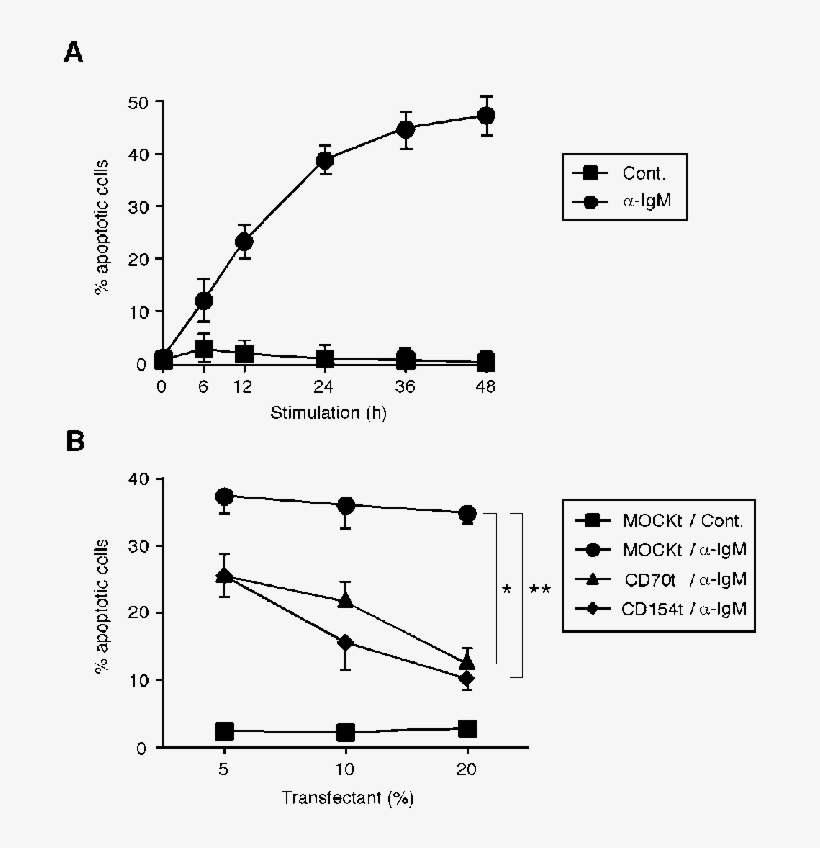 Effects Of Cd27 And Cd40 Ligation On Bcr Mediated Apoptosis - Diagram, transparent png