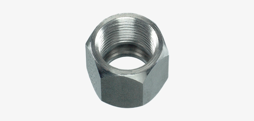 Tuercas - Nut, transparent png