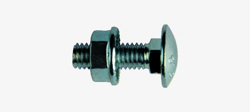 Tornillo Cabeza Redonda Cuello Con Tuerca M6 X 16 Mm - Tornillo Cabeza Redonda Con Tuerca Ficha, transparent png