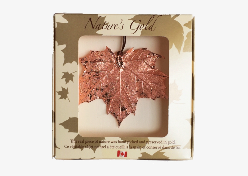 Maple Leaf Ornament - Jewellery, transparent png