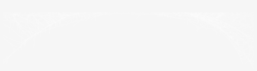 Halloween Spider Web - Hyatt Regency Logo White, transparent png