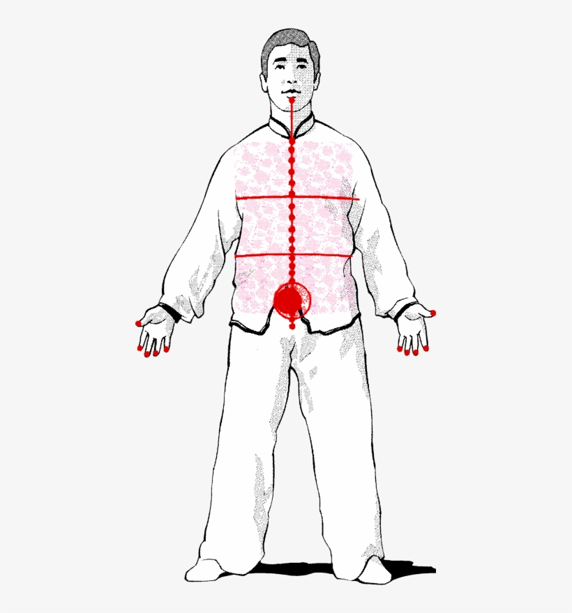 A Fundamental Part In The Training Of Luohan Gong Is - Dan Tien, transparent png
