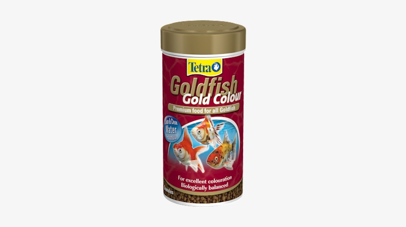 Tetra Goldfish Gold Colour - Tetra Goldfish Gold Exotic, transparent png