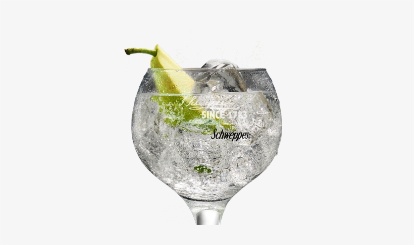 Grey Goose & Tónica Pimienta Rosa Premium - Tonica, transparent png