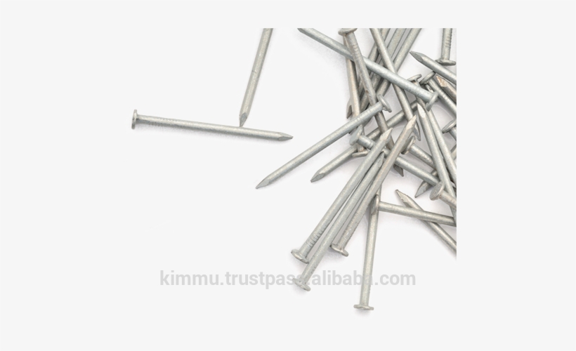 Malaysia Steel Nails, Malaysia Steel Nails Manufacturers - Nails For Wood Png, transparent png