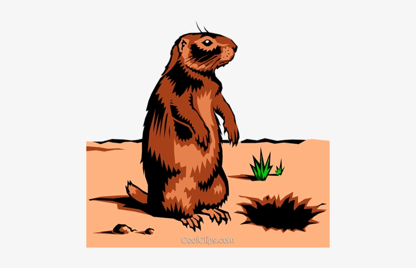 Gopher Royalty Free Vector Clip Art Illustration - Free Prairie Dog Clipart, transparent png