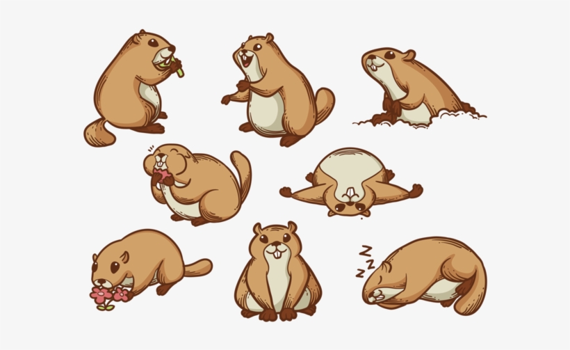 Gopher Cartoon Vector - Gopher Cartoon, transparent png