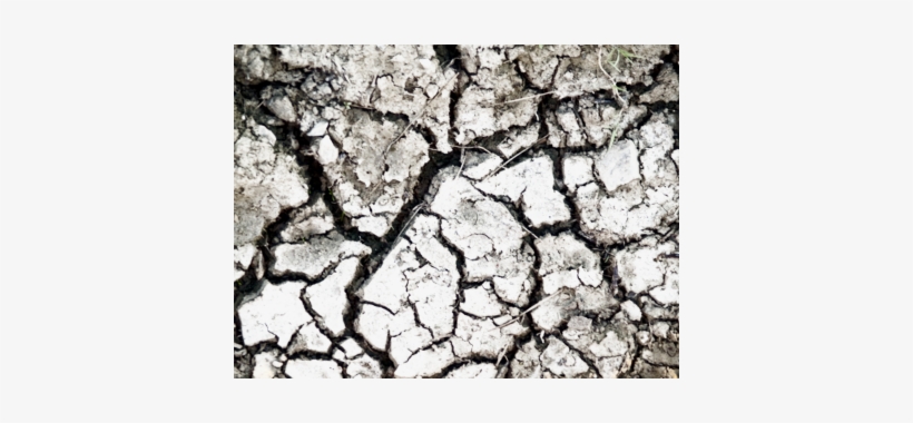 Png Texture Grunge Dirt Grunge Effect Related Keywords - Cracked Dirt Texture, transparent png
