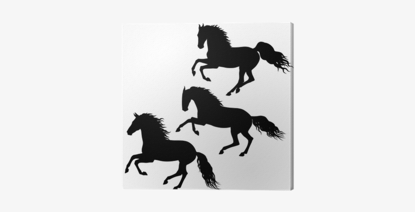 Black Running Horses Silhouettes On White Canvas Print - Caballos Corriendo En Blanco Y Negro, transparent png