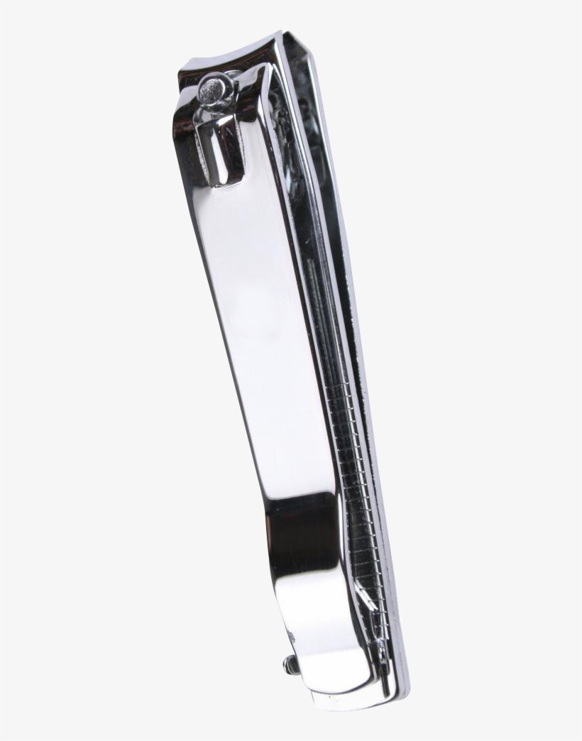 456 X 1050 - Garment Bag, transparent png