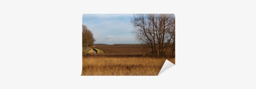 Autumnal Landscape With A Plowed Field And Bare Trees - Savanna, transparent png