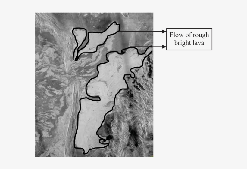D - \2017\all Work\physics\harsh\22 - 02 - 2017\ - Grizzly Bear, transparent png