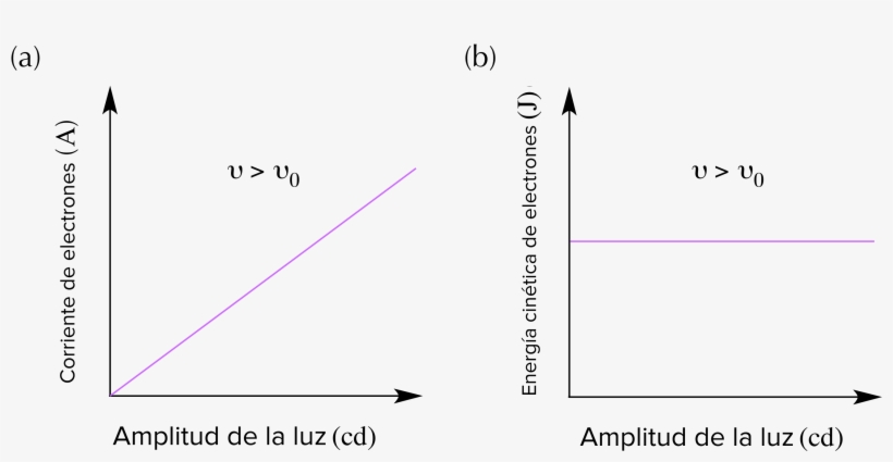 Puesto Que El Incremento De La Amplitud De La Luz No - Light, transparent png