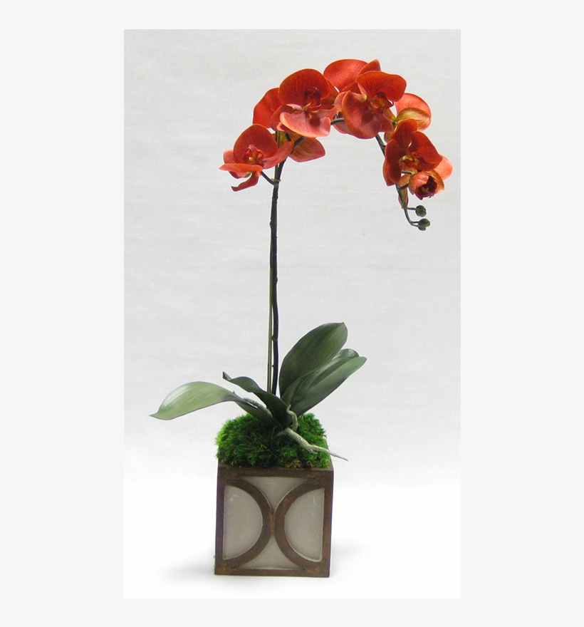 Wooden Mini Square Container W/ Half Circle - Bronze, transparent png