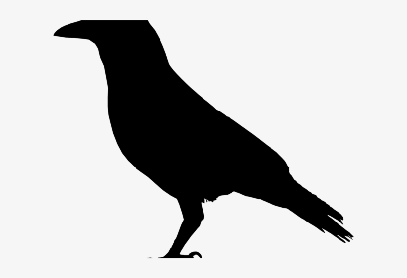 Share - Crow Black And White, transparent png