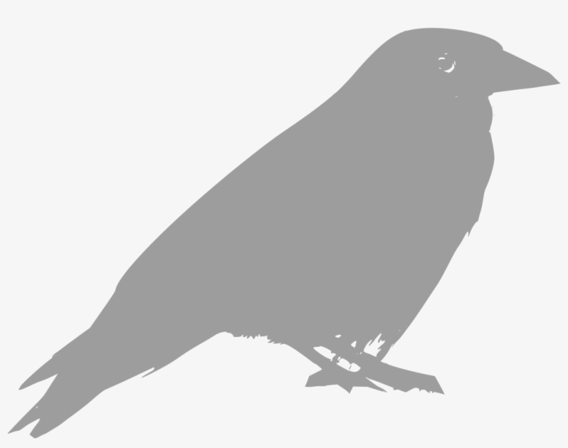 Download Png - Clipart Raven, transparent png