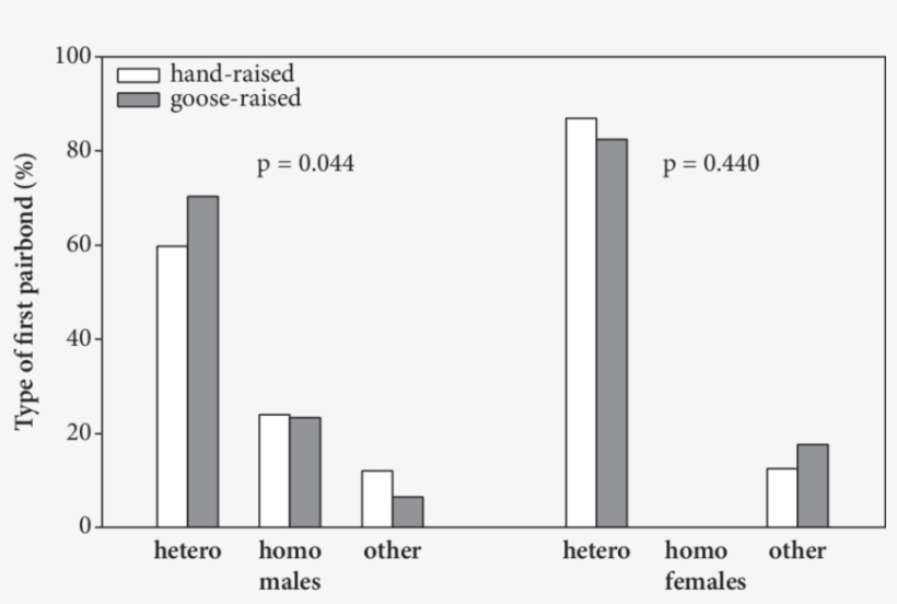 Type Of First Pair Bond In Hand Raised And Goose Raised - Diagram, transparent png