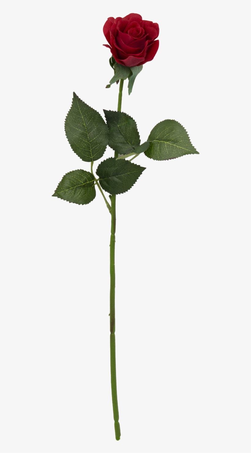 Click To Enlargeclick To Enlarge - Red, transparent png