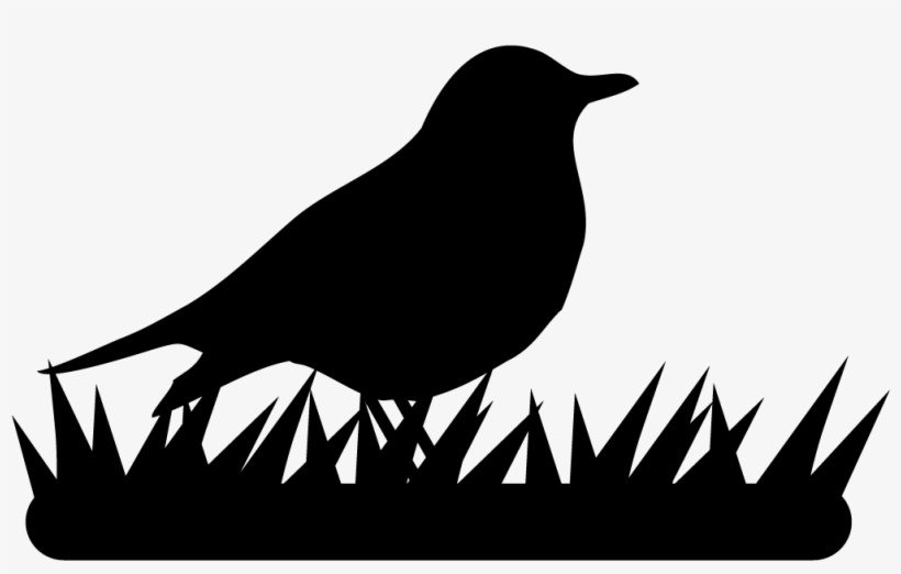Thrushes - All About Birds, transparent png