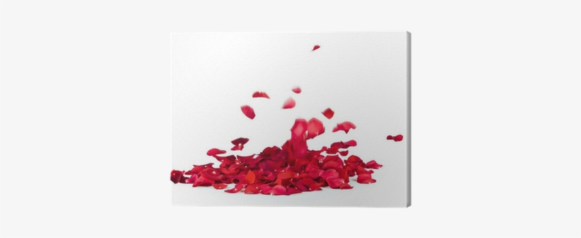 Wedding Music - Various Artists (cd), transparent png