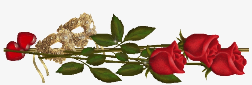 Red Roses Stems Large Photo Redroses - Red Roses Page Divider, transparent png