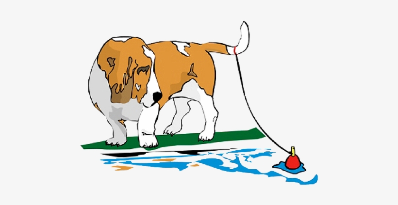 Creekside Kennels Inc - Creekside Kennels, Inc., transparent png