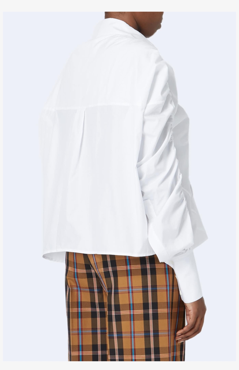 1 - Plaid, transparent png