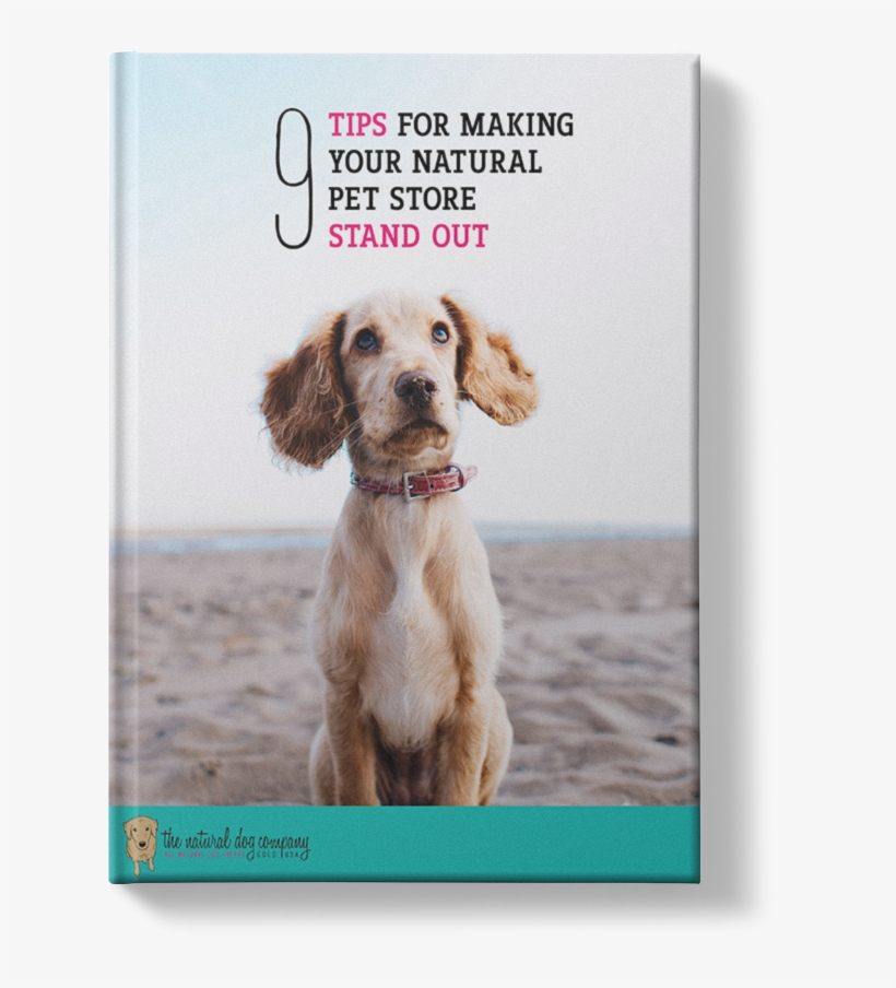 9 Tips For Making Your Natural Pet Store Stand Out - Ramka Na Zdjęcia Miętowa, transparent png