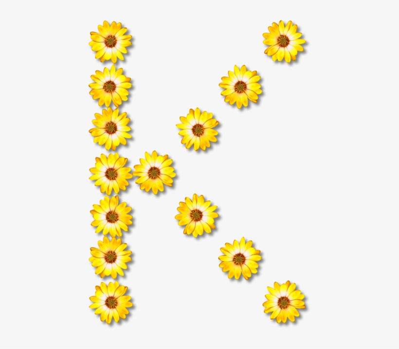 Letter Greek Alphabet Common Sunflower - Flower, transparent png