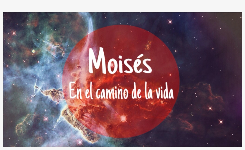 La Historia De Moises - Calling The Night - Crow Art By Sharon Cummings, transparent png