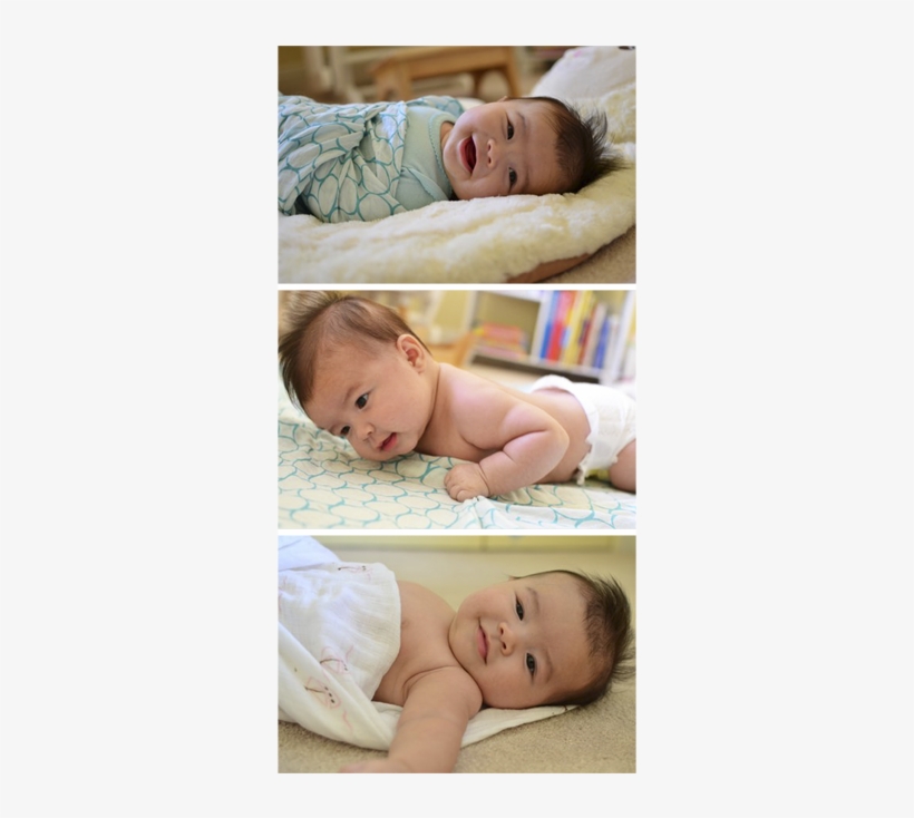 0 Was About 4 Weeks Old, We Were Able To Smoothly Transition - Baby, transparent png