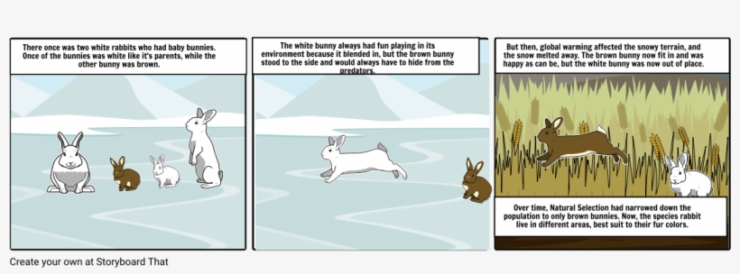 Rabbit Natural Selection - Cartoon, transparent png