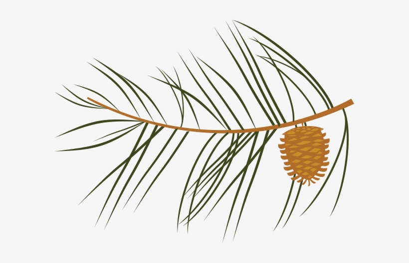 Leaf, transparent png