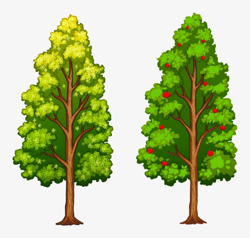 Фотки Tree Leaves, Tree Of Life, Flower Clips, Paper - Diferentes Tipos De Árvores, transparent png