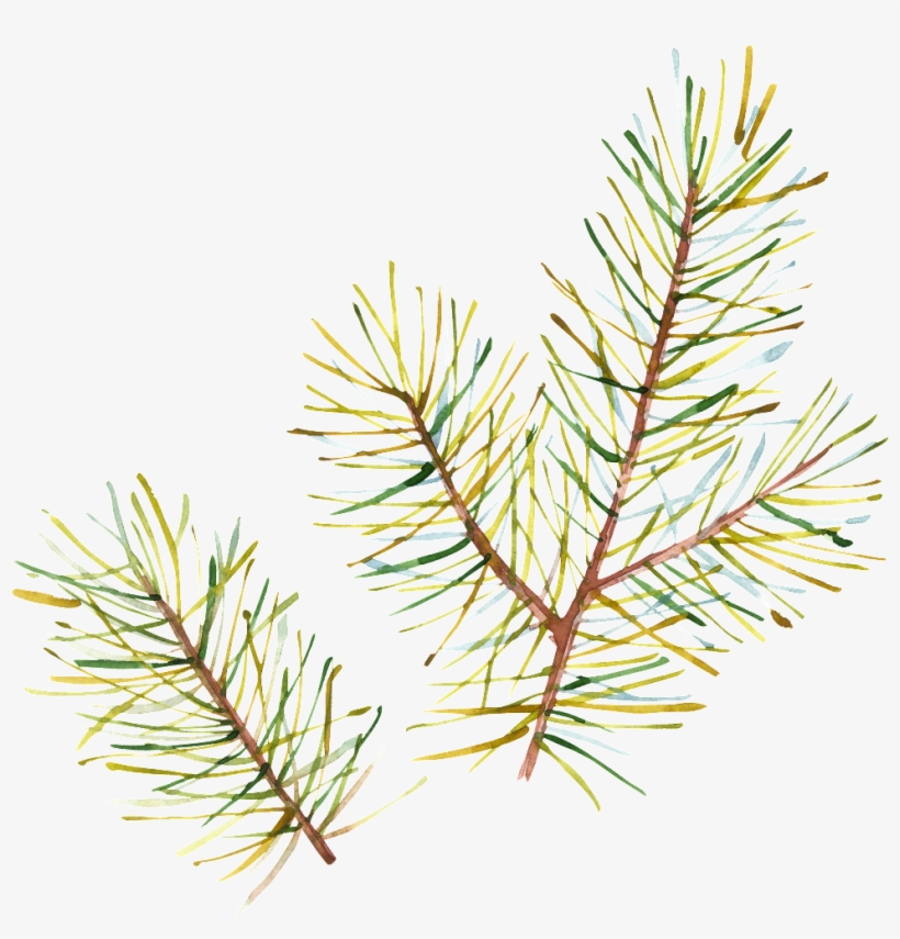 Hand Painted Half Withered Leaves Png Transparent - Christmas Tree, transparent png