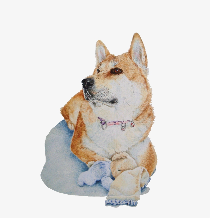 Akita And Teddy Portraite - Hübsches Rotes Akita Mit Babydecke, transparent png