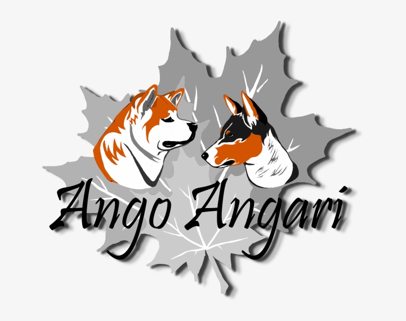 Accueil De L'élevage Akita Inu Et Élevage Basenji - America First: One Hundred Stories From Our History, transparent png