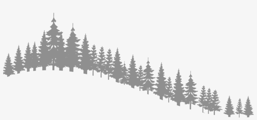 Cherry Ridge Retreat - Shortleaf Black Spruce, transparent png