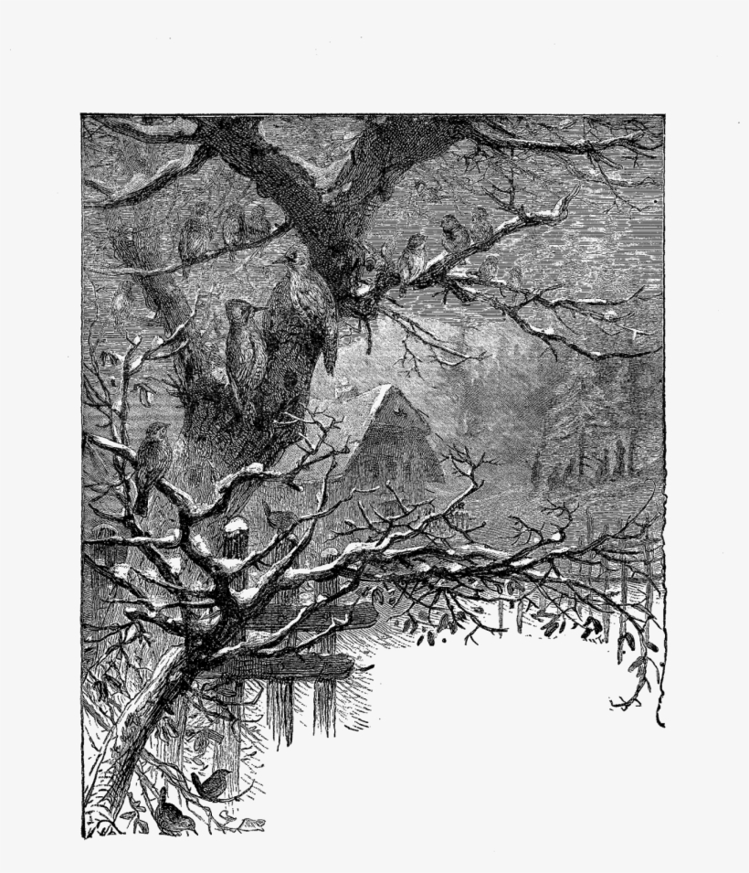 Winter Is Coming The Chilly, Autumn Mornings Will Soon - Digital Stamp, transparent png