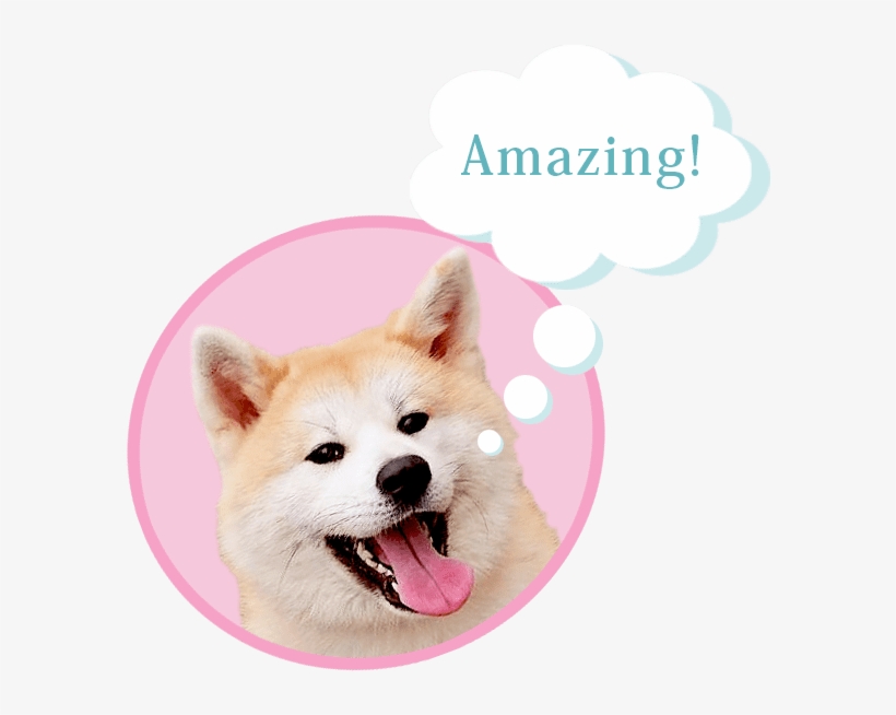 For The Master A Model - Dog Yawns, transparent png