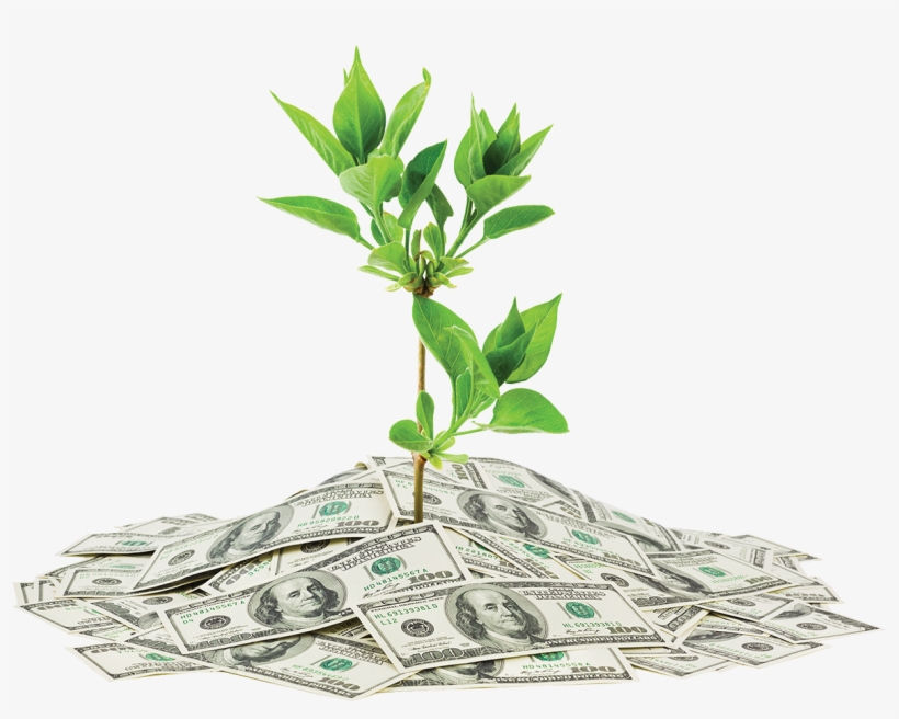Wealth Png Transparent Image - Pays To Be Green, transparent png