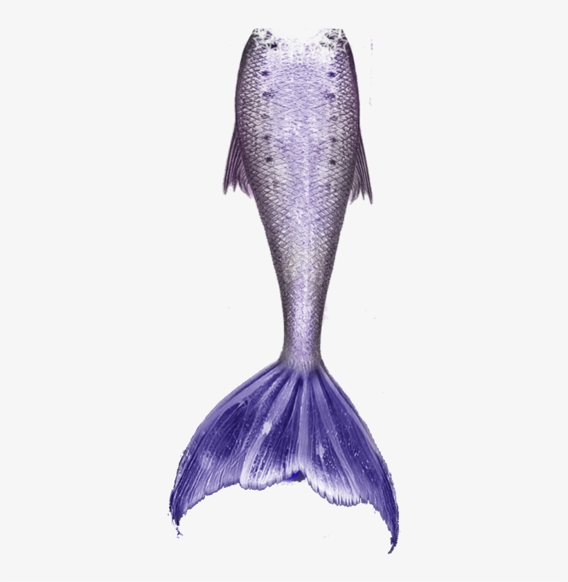 Mermaid Tail Free Download Png - Artsadd Stylish And Customized Soft And Comfortable, transparent png