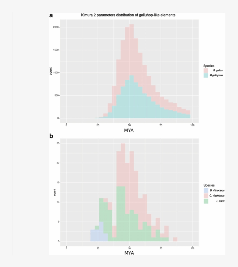 Amplification Dynamics Of Elements Within Each Genome - Diagram, transparent png