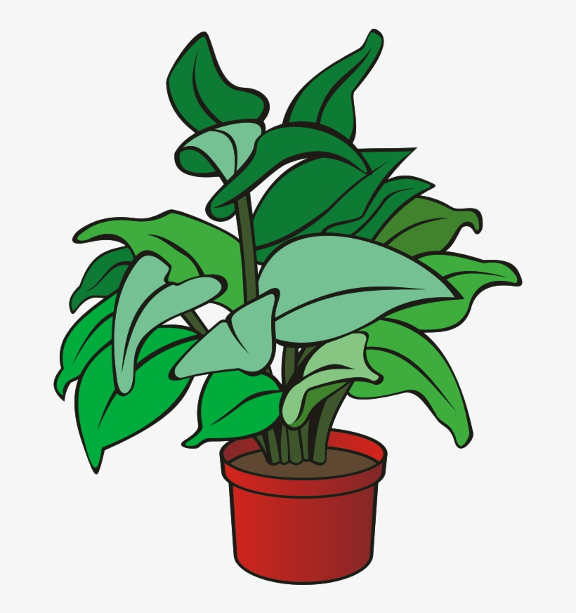 Medium Image - Clipart Picture Of Plant, transparent png