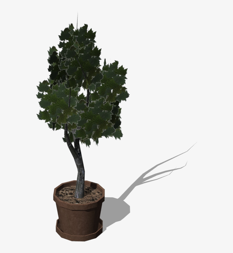 Pottedtree - Gambel Oak, transparent png