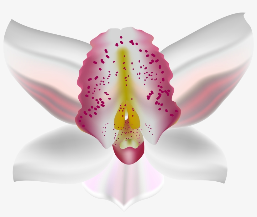 Orchid Deco Flower Png Clip Art - Flower, transparent png