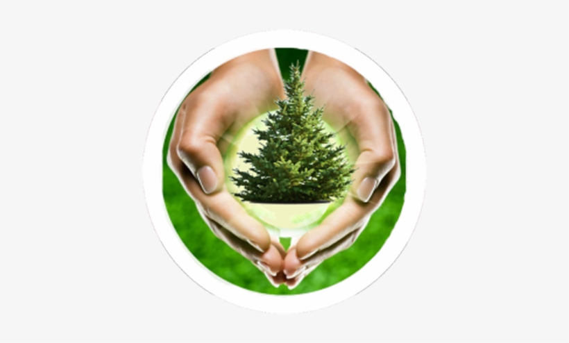 Transcarpathians Are Urged To Buy For Winter Holidays - Hand, transparent png