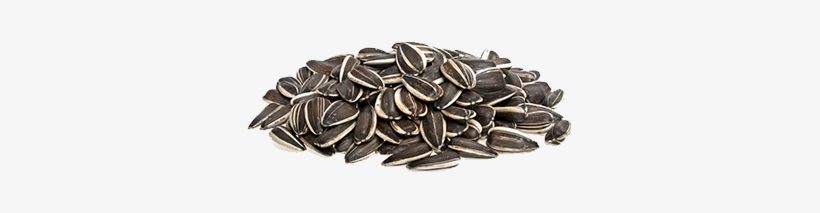 Sunflower Seeds Png - Sunflower Seeds Transparent Background, transparent png
