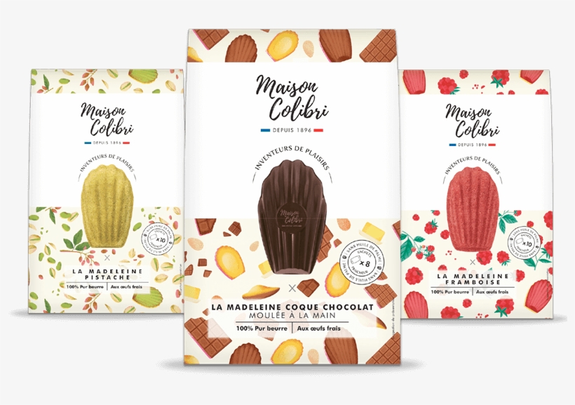 Maison Colibri Is An Extraordinary And Fashionable - Illustration, transparent png